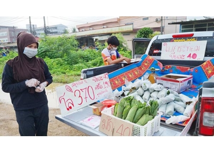 2021–09-20 卡痛叶合法上市 进入寻常百姓家